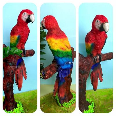 Rainbow Macaw - Cake by Hemu basu