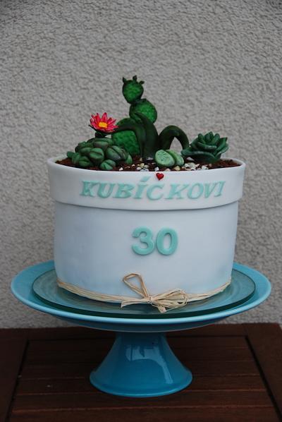 Flowerpot with cactus - Cake by Lucie