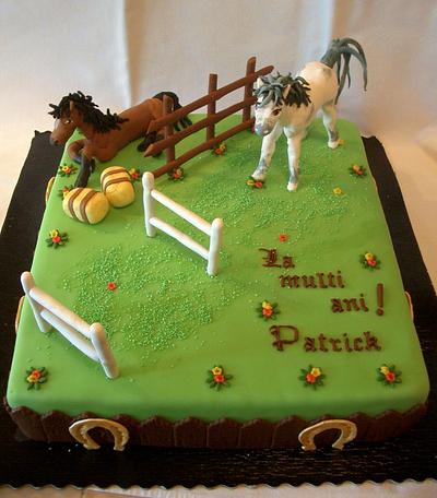 horse riding school - Cake by  Diana Aluaş