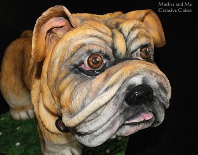 British Bulldog Cake - Cake by Mother and Me Creative Cakes