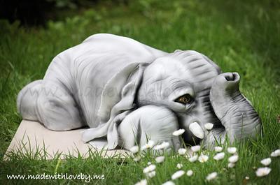 Baby Elephant Cake 'Dumbo'  - Cake by Hannah