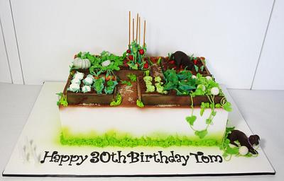 Vegetable Garden Cake - Cake by Louisa