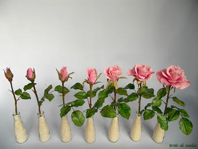 sugar roses - Cake by tortedinadia