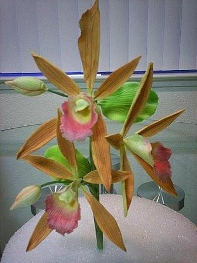Gumpaste Phaius Orchids - Cake by Cakeicer (Shirley)