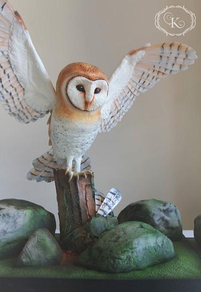 Barn Owl ❤️ - Cake by Karolina Andreas 