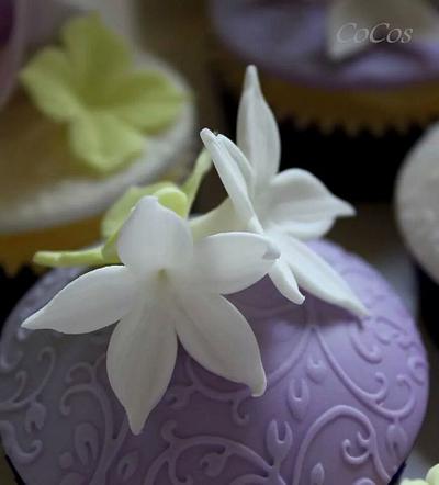 pretty jasmin cupcakes  - Cake by Lynette Brandl