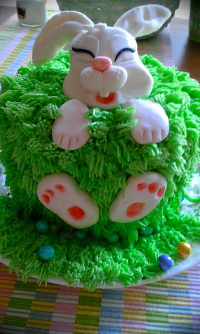Easter bunny  - Cake by Jennifer 