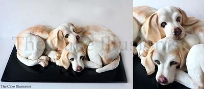 Two lemon beagles - Cake  - Cake by Hannah