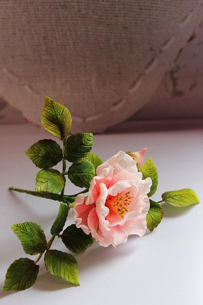 Doubled bush rose in gumpaste - Cake by Siobhan Buckley
