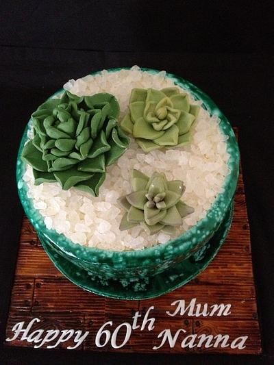 Potted succulent 60th cake. - Cake by Lesley