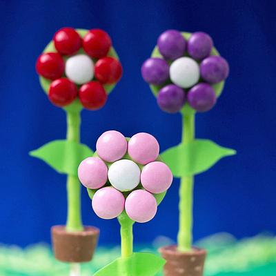 Flower Pot Cake Pops - Cake by Janine