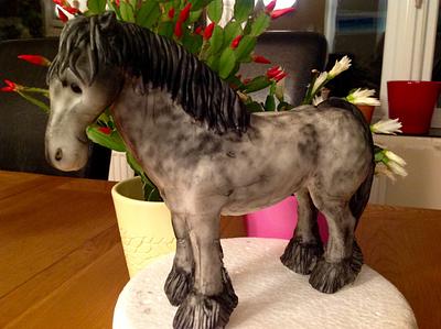 Shire Horse - Cake by Nanna Lyn Cakes
