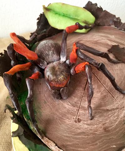  Birthday cake with a spider. - Cake by DinaDiana