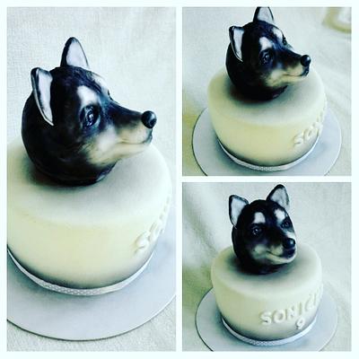 Husky - Cake by Anka