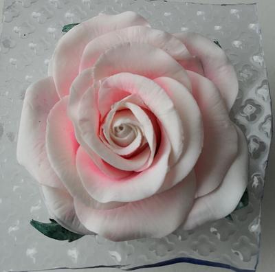 Only one rose - Cake by Ruth - Gatoandcake