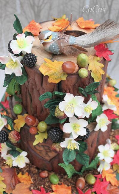 Secret fairy house woodland cake  - Cake by Lynette Brandl