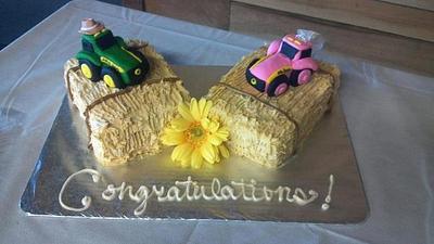 Hay Bale Grooms Cake - Cake by Christa