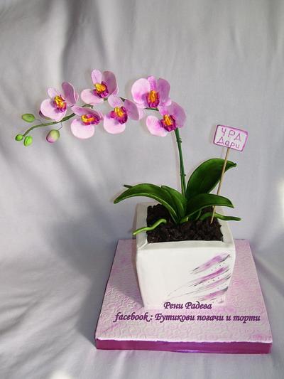 Orchid - Cake by Reneta 