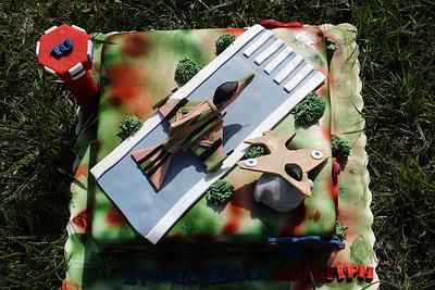 Cake for F16 lover! - Cake by Petra Florean