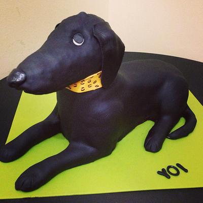 My Dog's bday cake - Cake by Gisellescakes