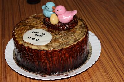 Birdies - baby shower cake - Cake by Brenila
