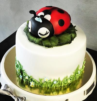 Ladybug - Cake by Teewsweet
