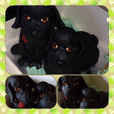 Who Let The Dogs Out? - Cake by Carmel Millar