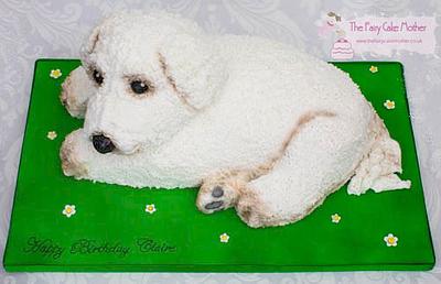 Bichon Frise Dog Cake - Cake by The Fairy Cake Mother