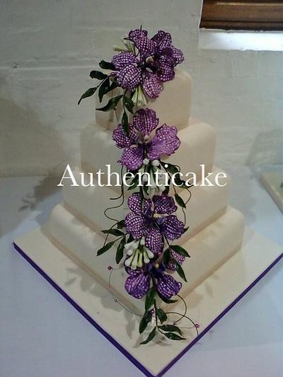 Sugar hand painted vanda orchids  - Cake by Ange Cliffe