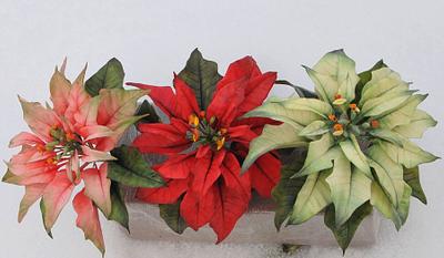 Poinsettia Christmas cake Toppers - Cake by Calli Creations