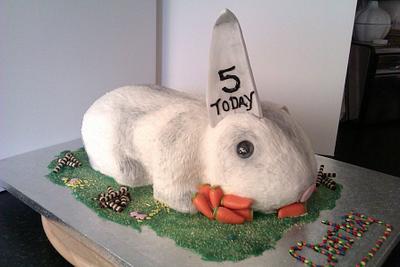 Bunny cake - Cake by PipsNoveltyCakes