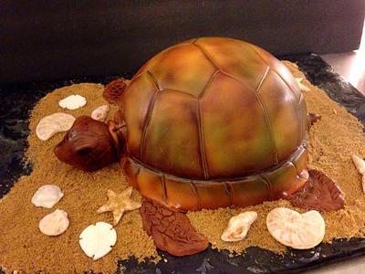 Turtle cake.  - Cake by Cake Waco