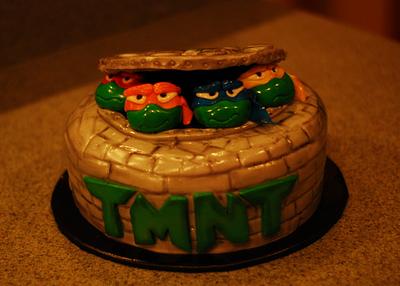 Teenage Mutant Ninja Turtles - Cake by Cakes Abound