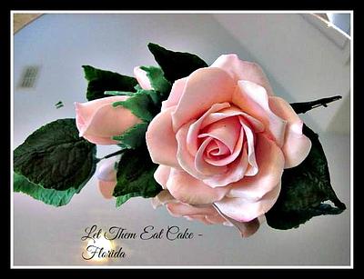 pink roses - Cake by Claire North