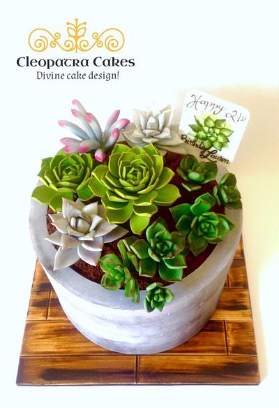 Succulents - Cake by Cleopatra cakes