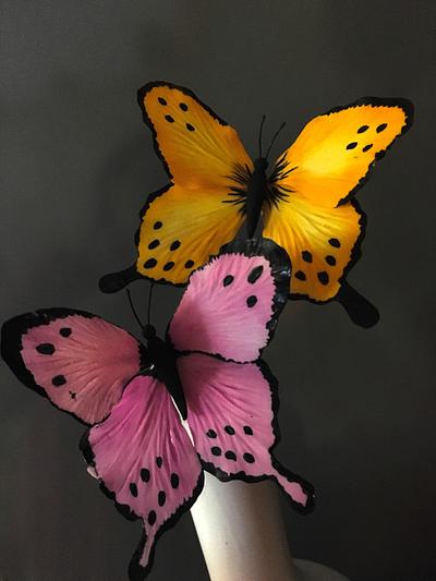 Butterfly - Cake by Piro Maria Cristina