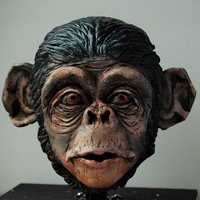 Monkey Head - Cake by Liz Kraatz