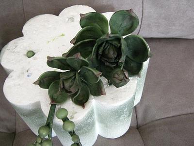 Gumpaste Succulents - Cake by Cakeicer (Shirley)