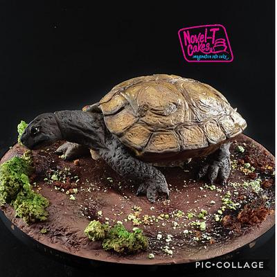 Turtle - Magnificent Bangladesh collaboration  - Cake by Novel-T Cakes