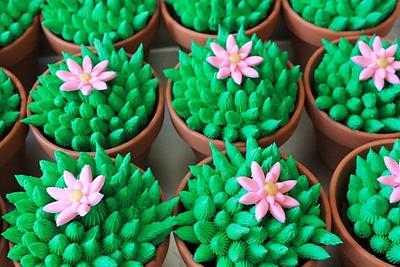 cactus cupcakes - Cake by carolyn chapparo