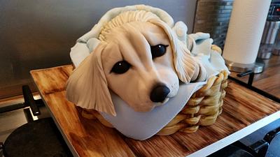 Puppy in a basket  - Cake by Tinalou77