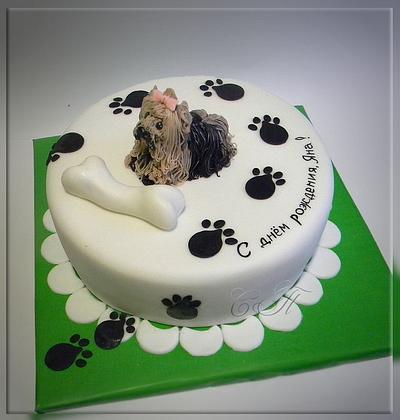 Cake "Puppy Yorkshire Terrier" - Cake by Svetlana