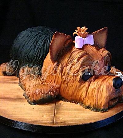 Yorkshire Terrier Cake (life size) - Cake by Oggys