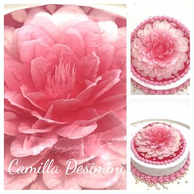 Cheesecake with Jelly flower decoration  - Cake by  La Camilla 