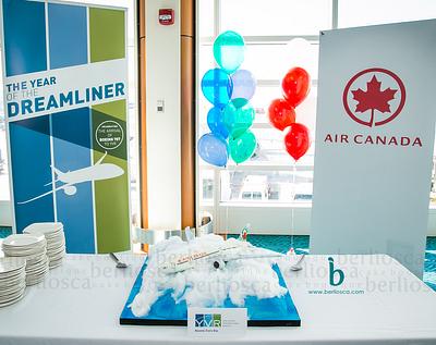Air Canada Dreamliner - Cake by Berliosca Cake Boutique