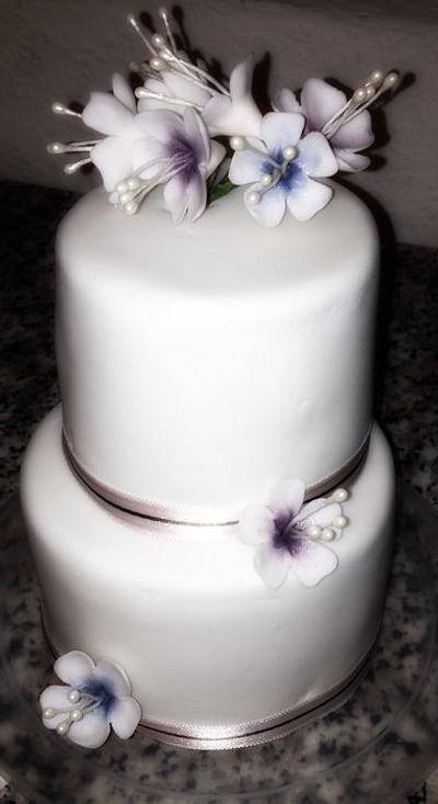 Mini cakes - Cake by Maxine Kristi Morris