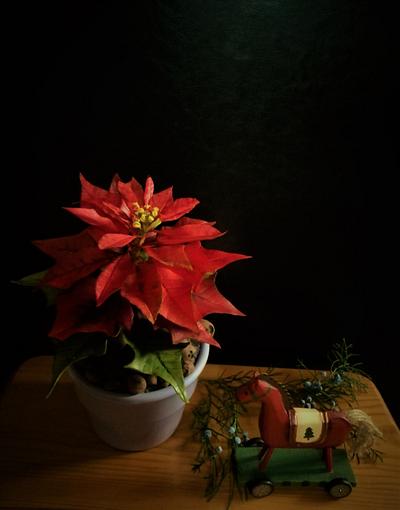 Poinsettia pot - Cake by babkaKatka