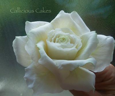 Avalanche Rose  - Cake by Calli Creations