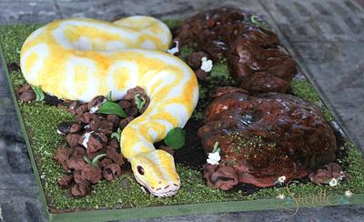 The Albino Snake - Cake by Sucrette, Tailored Confections