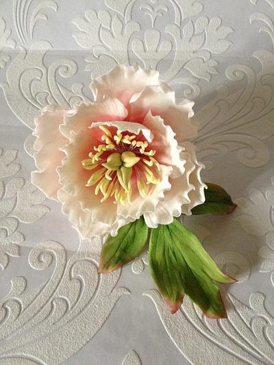 Sugar Peony - Cake by Claire's Cakes and Bakes